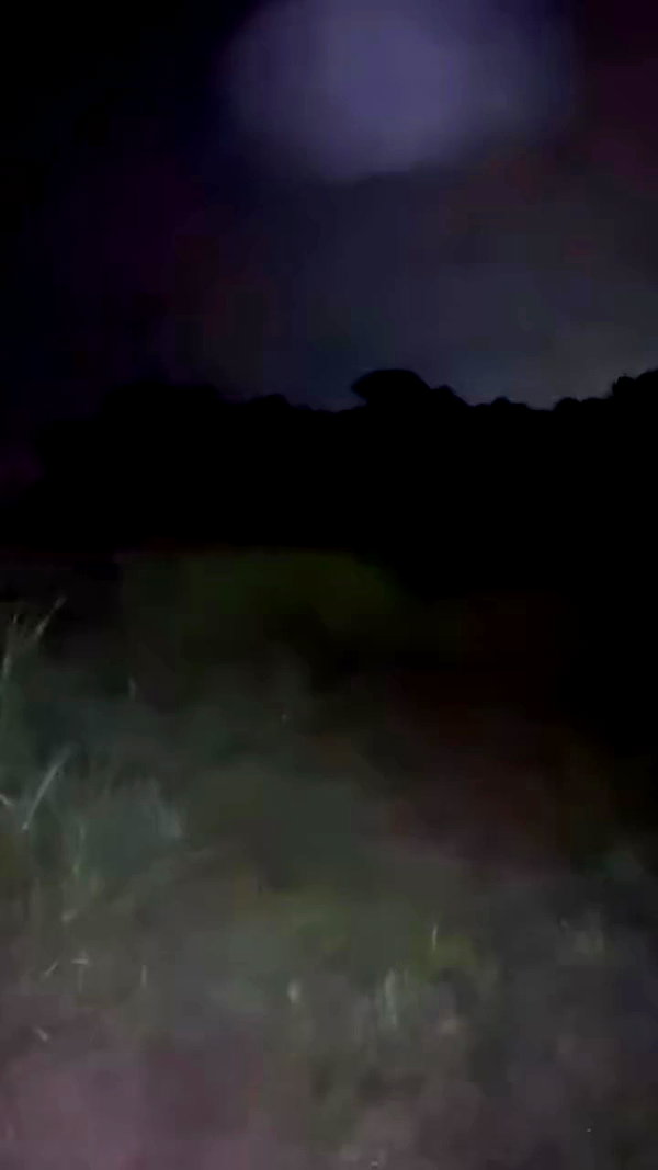 pimpdaddyextreme archive video preview