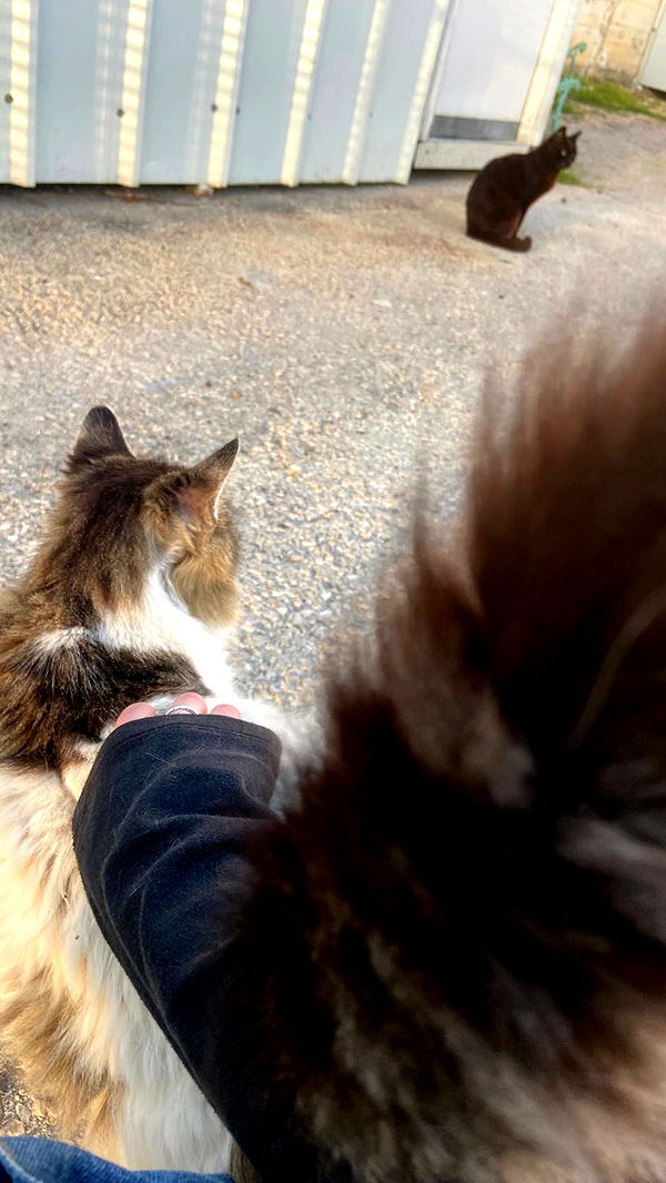 feelbetterinmysweater archive video preview