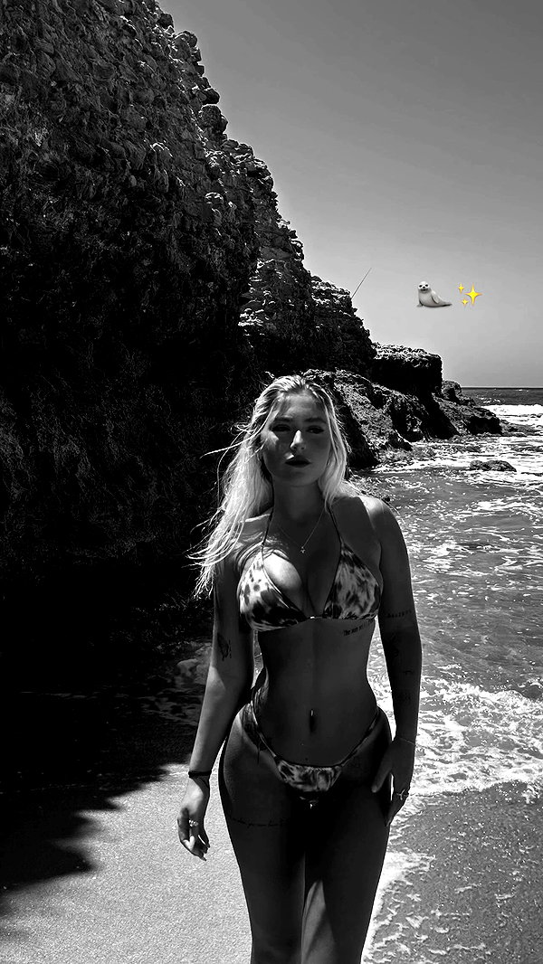libbycannon_ archive video preview