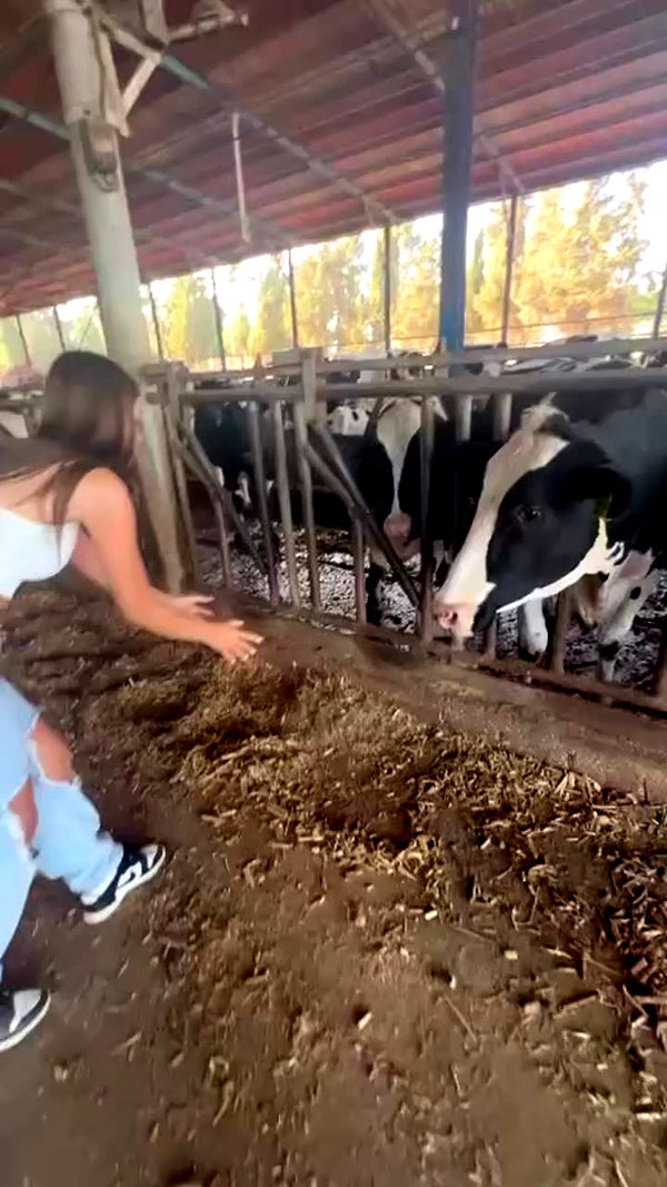 orya.xx archive video preview