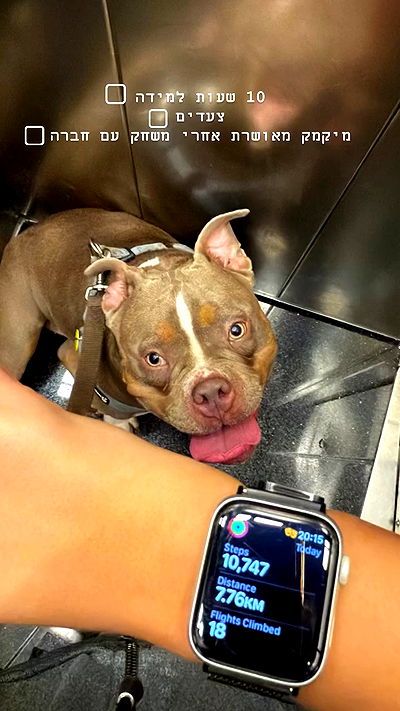 kesemgreenyer kesemgreenyer archive video