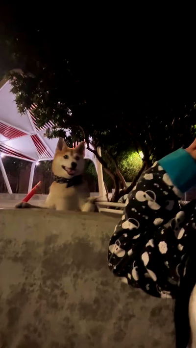 zommmbri zommmbri archive video