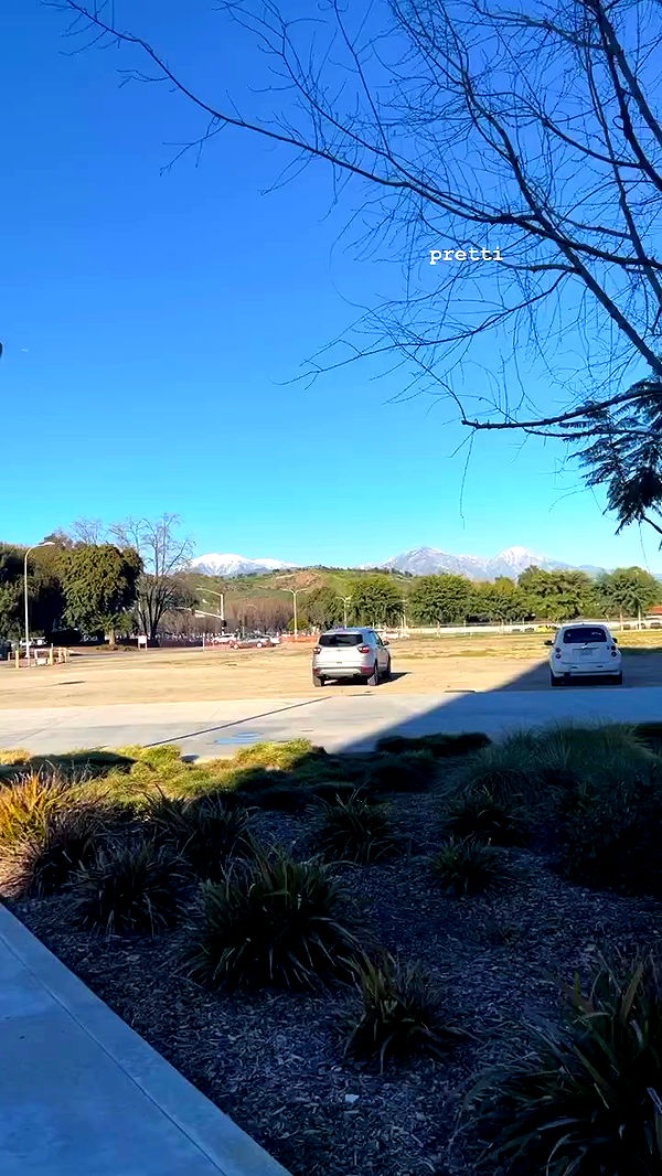 zommmbri archive video preview