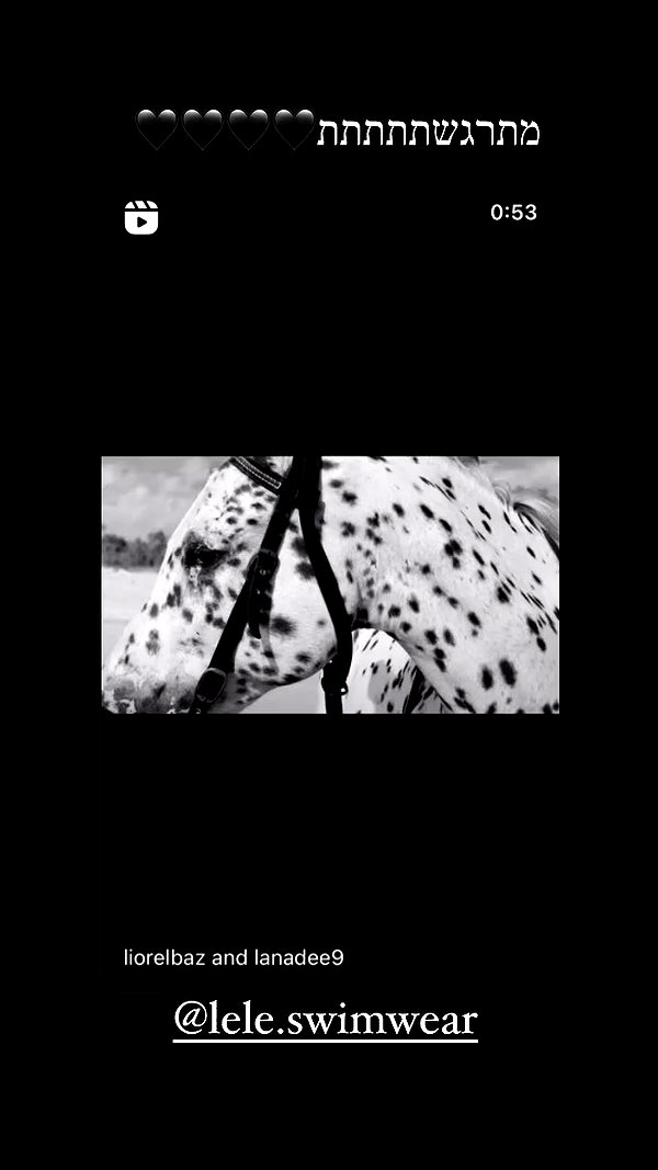 liorelbaz archive video preview