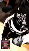 si11yc0rpse Altpins Profile Picture
