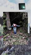 si11yc0rpse Altpins Profile Picture