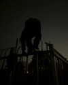ellmari.e Altpins Profile Picture