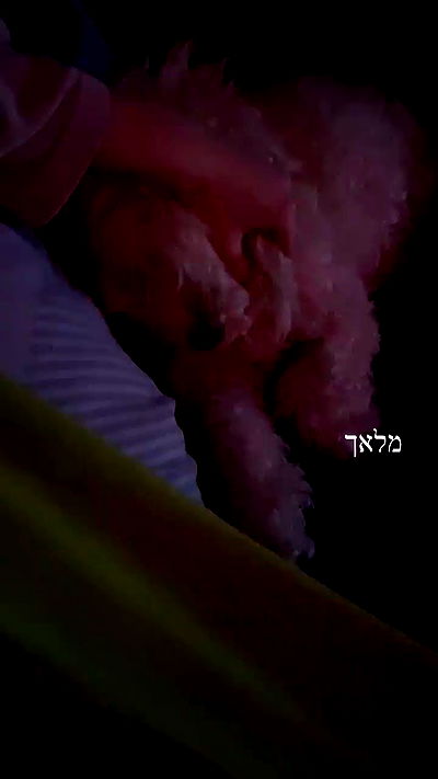 feelbetterinmysweater feelbetterinmysweater archive video