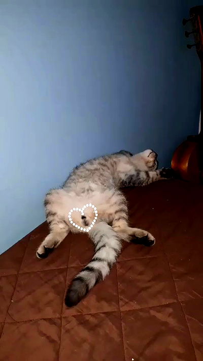 neomiconrad neomiconrad archive video