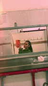 _lironatias Altpins Profile Picture