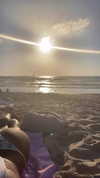 _lironatias Altpins Profile Picture