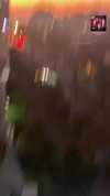 _lironatias Altpins Profile Picture