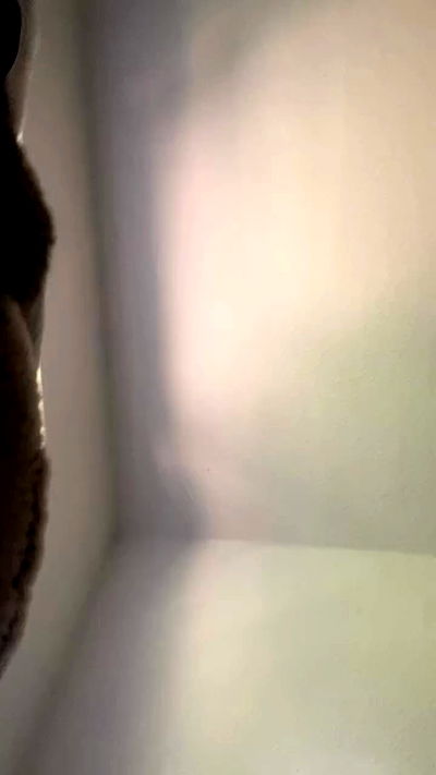 yoo.mon yoo.mon archive video