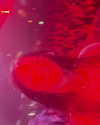 ellmari.e Altpins Profile Picture