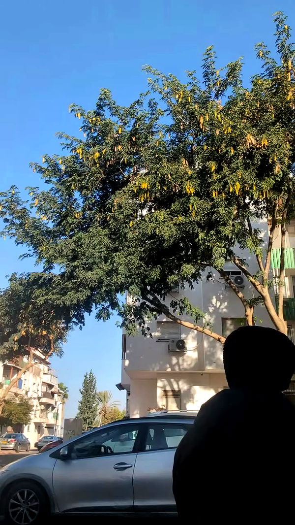 tinapavlov.sky archive video preview