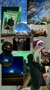 astarwbry_ Altpins Profile Picture