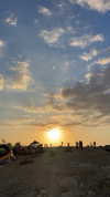 _lironatias Altpins Profile Picture