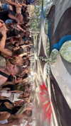 _lironatias Altpins Profile Picture