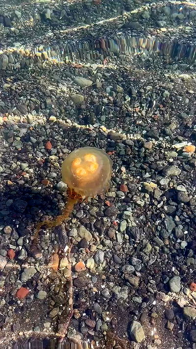 sedonaskyxo sedonaskyxo archive video