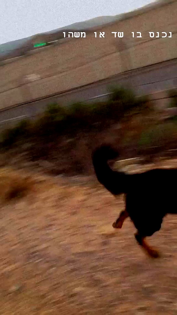 __yaheli_ archive video preview