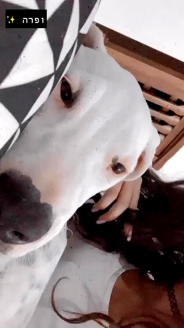 __yaheli_ archive video preview