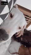 __yaheli_ Altpins Profile Picture