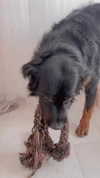 __yaheli_ Altpins Profile Picture