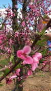 eloise_wensley Altpins Profile Picture