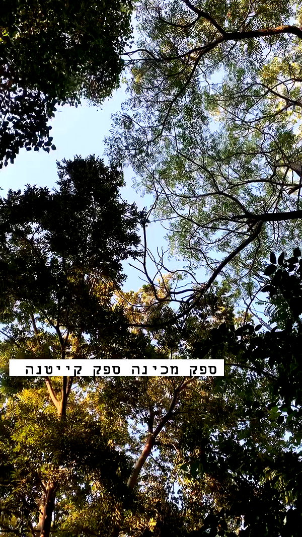 __yaheli_ archive video preview