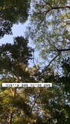 __yaheli_ Altpins Profile Picture