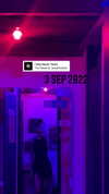 __yaheli_ Altpins Profile Picture