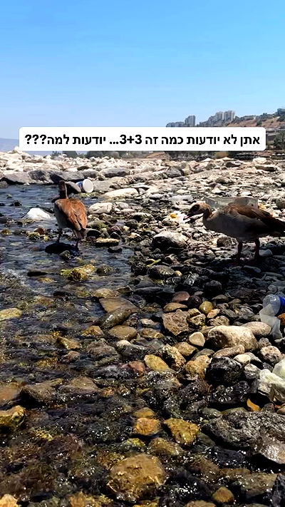 shelly_.mor shelly_.mor archive video