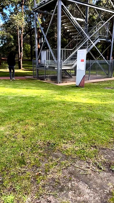 piper.jaylen piper.jaylen archive video