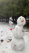 siel_pinto Altpins Profile Picture