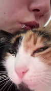 avitallllllll Altpins Profile Picture