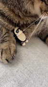 iljfgigi Altpins Profile Picture