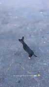 jenny.kaly Altpins Profile Picture