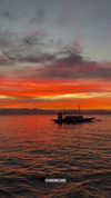 veronika_grish Altpins Profile Picture