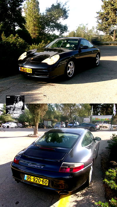 simp_for_cats_ simp_for_cats_ archive video