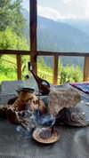 noa_mendel_ Altpins Profile Picture