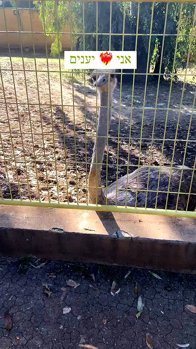 feelbetterinmysweater feelbetterinmysweater archive video