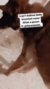 emily_new2 Altpins Profile Picture