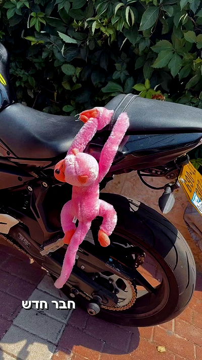 biton__adi biton__adi archive video