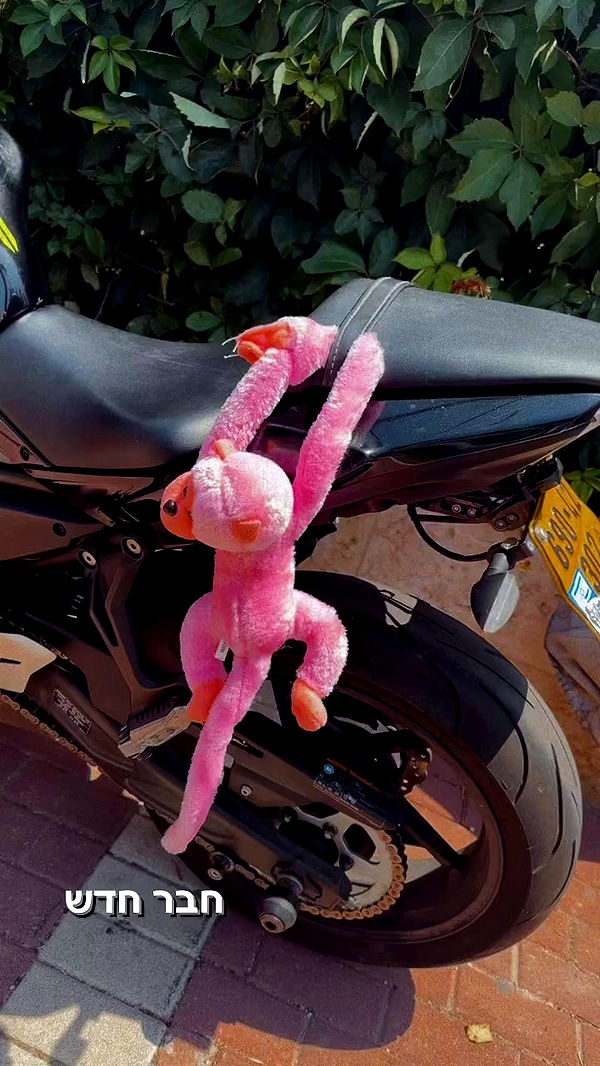 biton__adi archive video preview