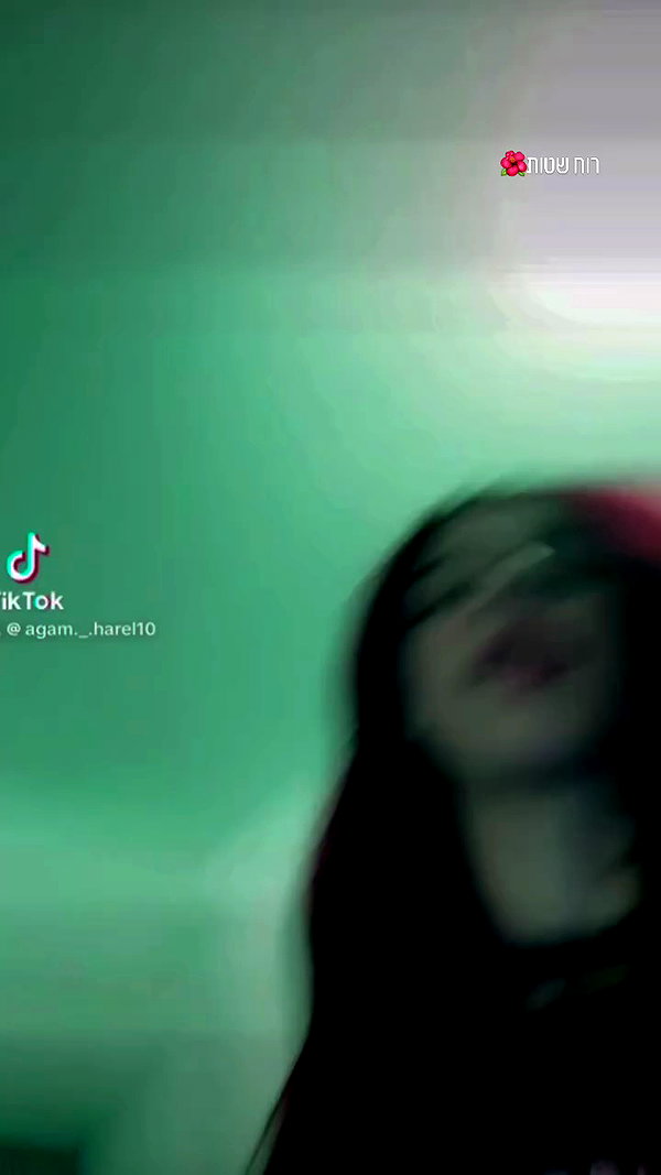 agam._.harel archive video preview