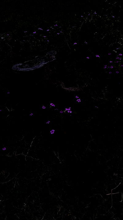 linnnh__h linnnh__h archive video