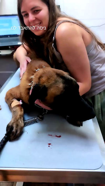 tinapavlov.sky tinapavlov.sky archive video