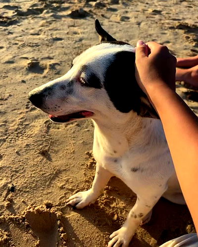 ofir.dg ofir.dg archive video