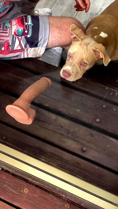 yannaidebeer yannaidebeer archive video