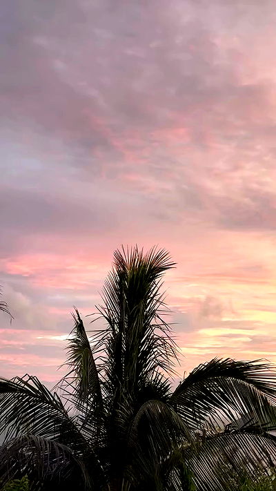 talweisswasser talweisswasser archive video